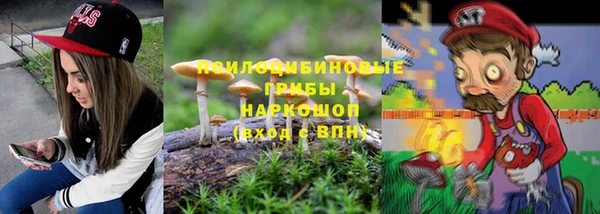 трава Балахна